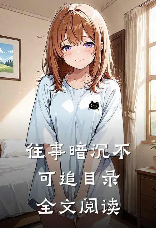 往事暗沉不可追目录全文阅读
