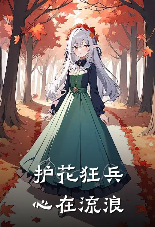 护花狂兵 心在流浪