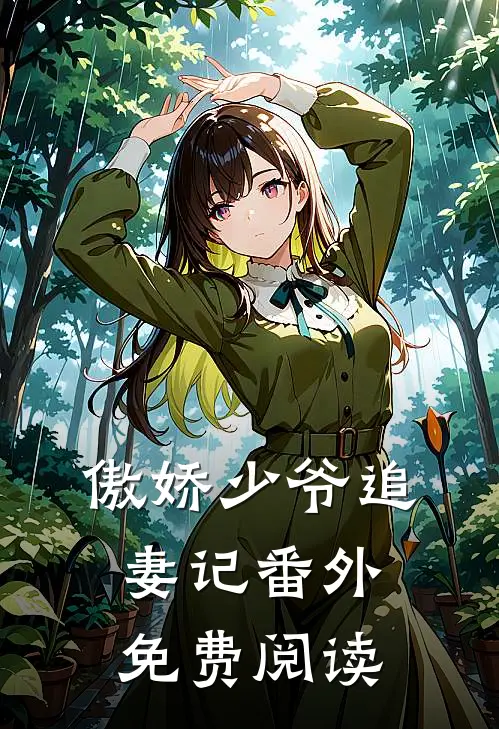 傲娇少爷追妻记番外免费阅读