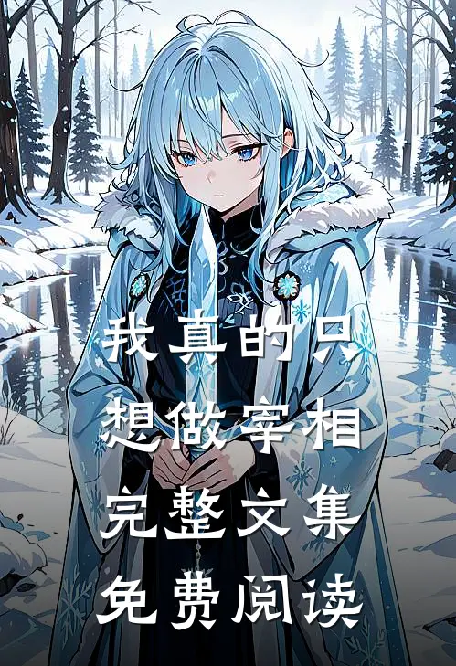 我真的只想做宰相完整文集免费阅读