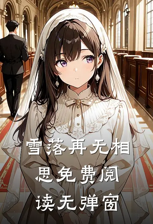 雪落再无相思免费阅读无弹窗