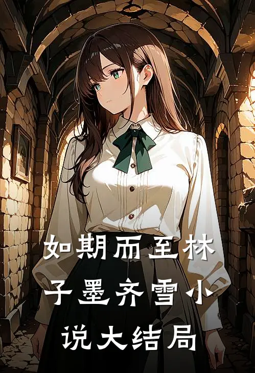 如期而至林子墨齐雪小说大结局