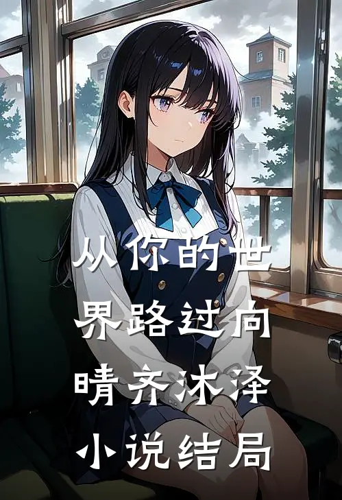 从你的世界路过向晴齐沐泽小说结局