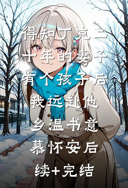 得知丁克二十年的妻子有个孩子后，我远赴他乡温书意慕怀安后续+完结
