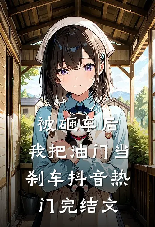 被砸车后，我把油门当刹车抖音热门完结文