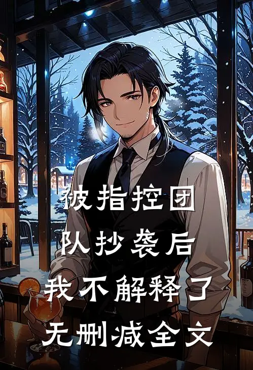 被指控团队抄袭后，我不解释了无删减全文