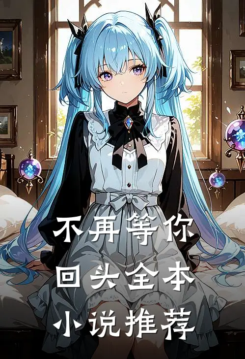 不再等你回头全本小说推荐