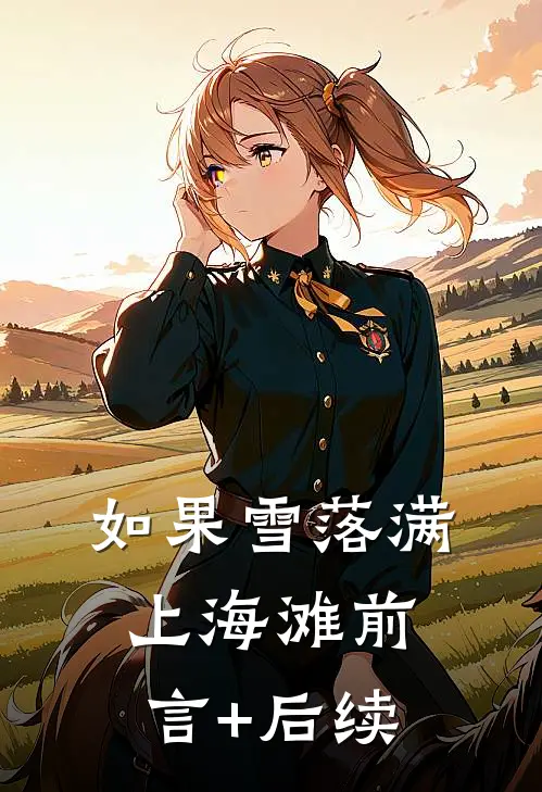 如果雪落满上海滩前言+后续