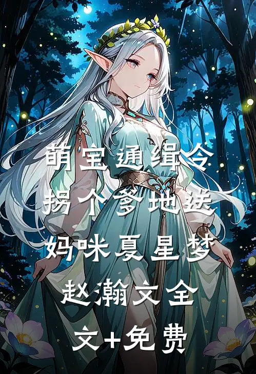 萌宝通缉令：拐个爹地送妈咪夏星梦赵瀚文全文+免费