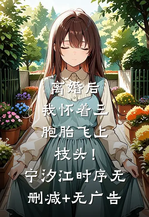 离婚后，我怀着三胞胎飞上枝头！宁汐江时序无删减+无广告