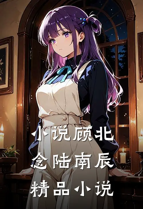 小说顾北念陆南辰精品小说