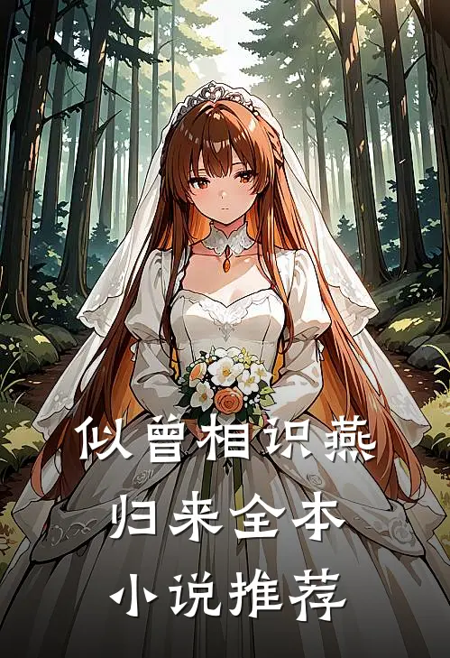 似曾相识燕归来全本小说推荐