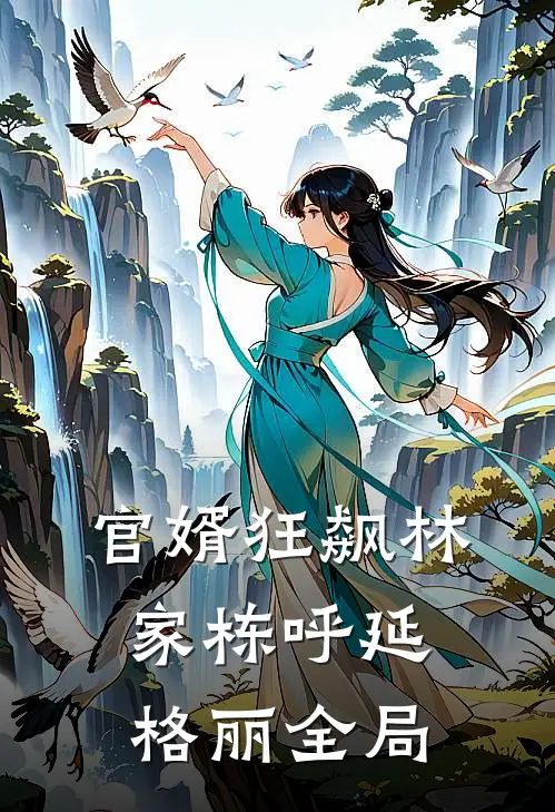 官婿狂飙林家栋呼延格丽全局