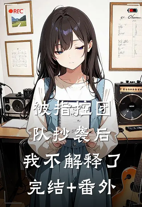 被指控团队抄袭后，我不解释了完结+番外