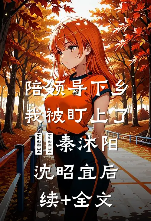 陪领导下乡，我被盯上了​​秦沐阳沈昭宜后续+全文