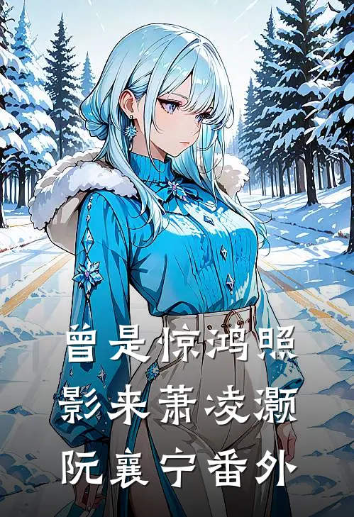曾是惊鸿照影来萧凌灏阮襄宁番外