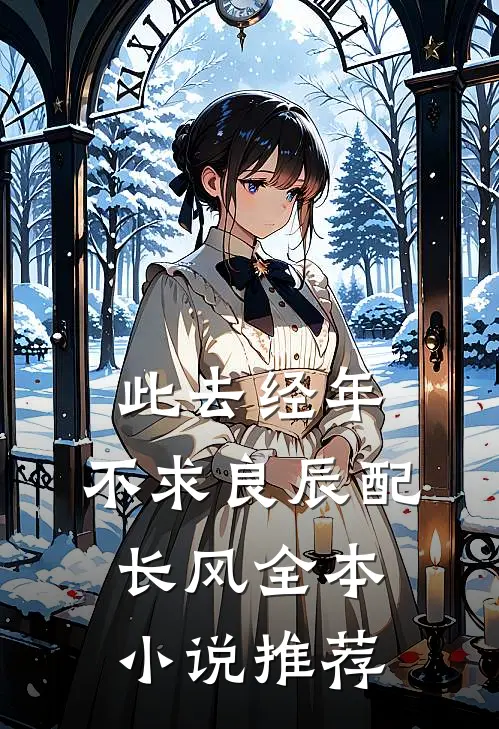 此去经年：不求良辰配长风全本小说推荐