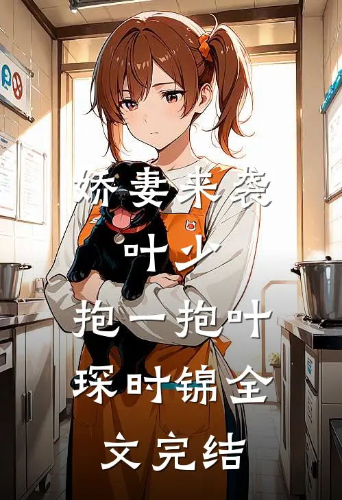 娇妻来袭:叶少,抱一抱叶琛时锦全文完结